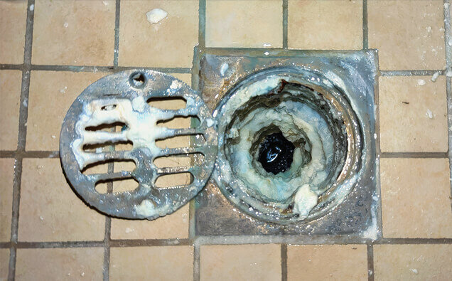 https://blockeddrainsellenbrook.com.au/uploads/2025/07/blocked-shower-drains-33151.jpg