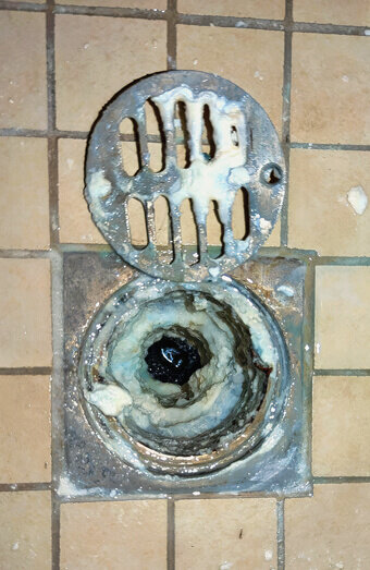 https://blockeddrainsellenbrook.com.au/uploads/2025/07/blocked-shower-drains-86331.jpg