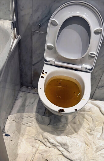 https://blockeddrainsellenbrook.com.au/uploads/2025/07/blocked-toilet-27793.jpg