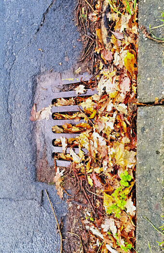 https://blockeddrainsellenbrook.com.au/uploads/2025/07/stormwater-drains-48051.jpg